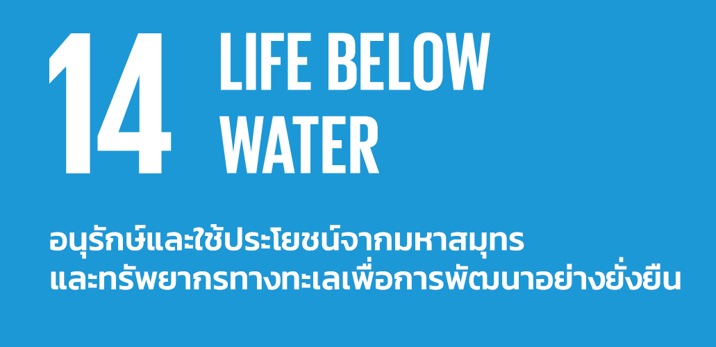 รวมภาพกิจกรรม SDGs 14 อนุรักษ์มหาสมุทร (Life Below Water)