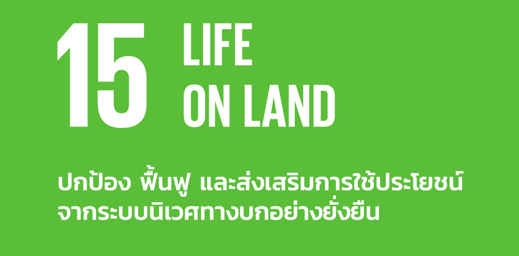 รวมภาพกิจกรรม SDGs 15 ปกป้องฟื้นฟูส่งเสริมการใช้ประโยชน์จากระบบนิเวศทางบก (Life on Land)